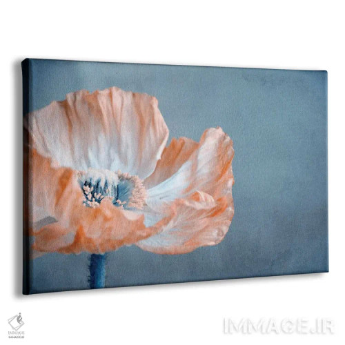 تابلو شقایق I اثر کلودیا دروسرت - نمای پرسپکتیو محصول