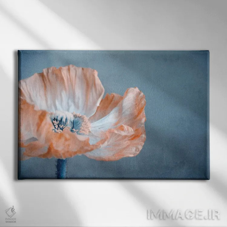 تابلو شقایق I اثر کلودیا دروسرت - نمای روبهرو روی دیوار