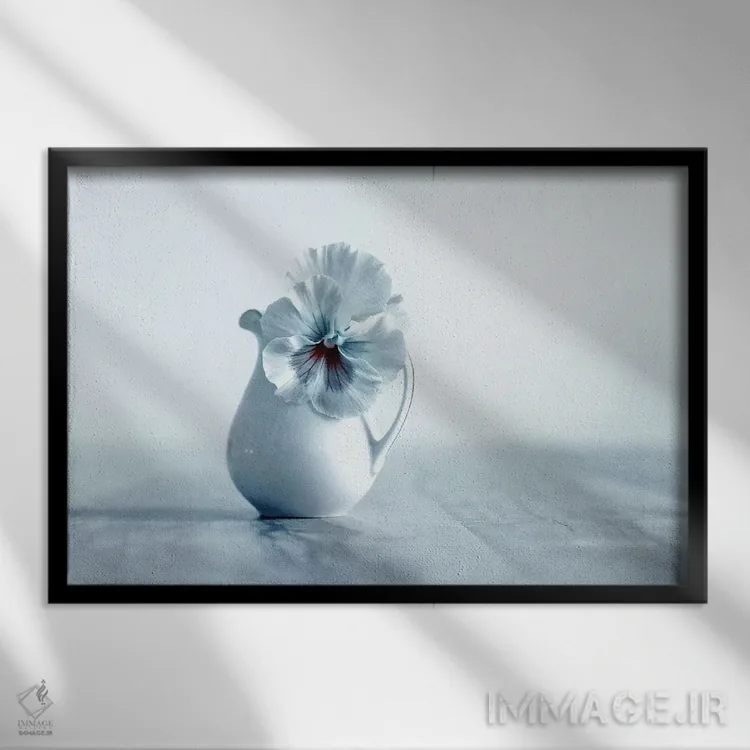 تابلو روح اثر کلودیا دروسرت - نمای قابدار مشکی