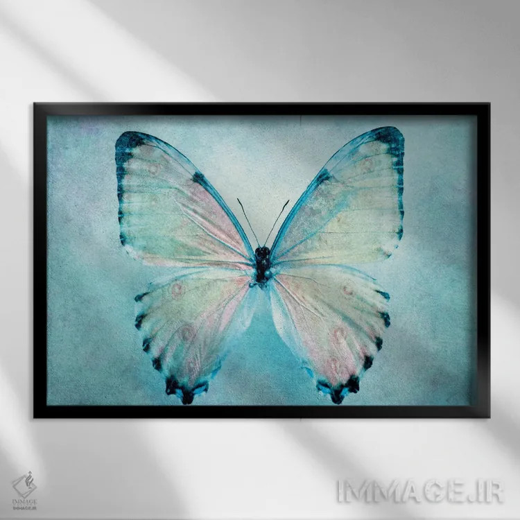 تابلو پروانه آبی اثر کلودیا دروسرت - نمای قابدار مشکی