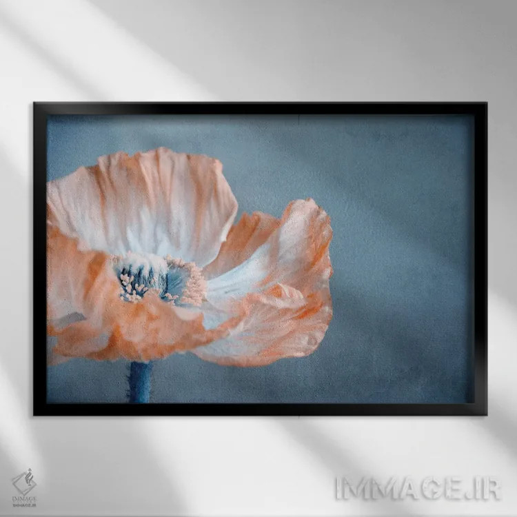 تابلو شقایق I اثر کلودیا دروسرت - نمای قابدار مشکی