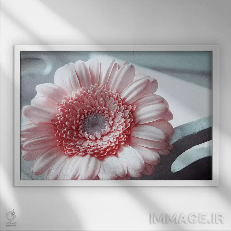 تابلو رز اثر کلودیا دروسرت - نمای قابدار سفید