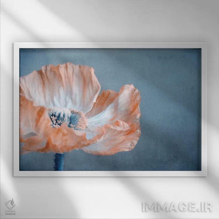 تابلو شقایق I اثر کلودیا دروسرت - نمای قابدار سفید