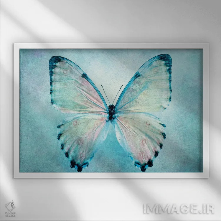 تابلو پروانه آبی اثر کلودیا دروسرت - نمای قابدار سفید