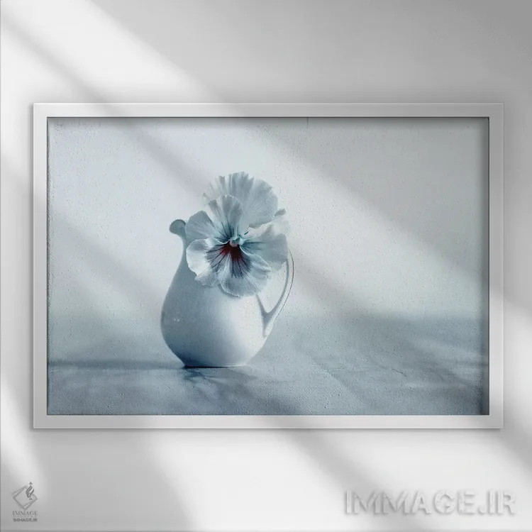 تابلو روح اثر کلودیا دروسرت - نمای قابدار سفید