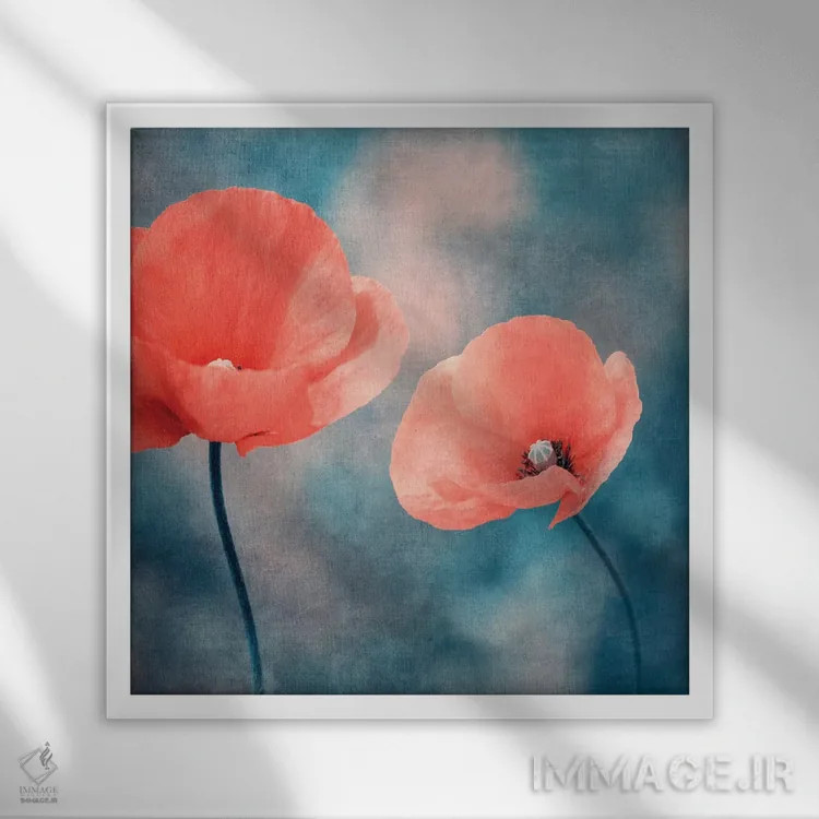 تابلو تابستان من اثر کلودیا دروسرت - نمای قابدار سفید