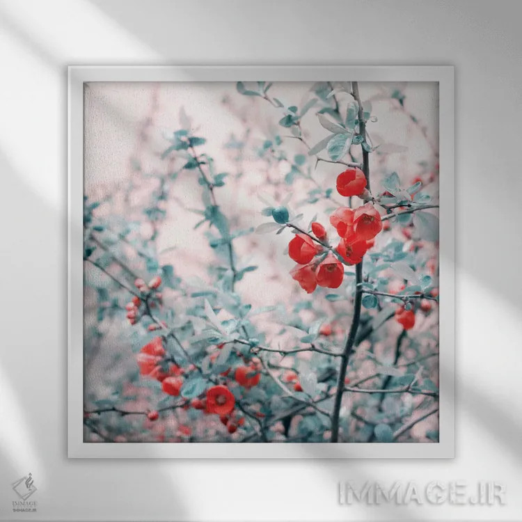 تابلو بهار اثر کلودیا دروسرت - نمای قابدار سفید