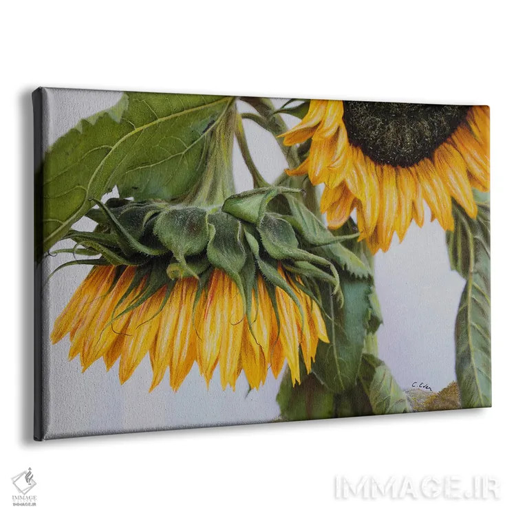 تابلو آفتابگردانهای پشیمان اثر شارلوت ادر - نمای پرسپکتیو محصول