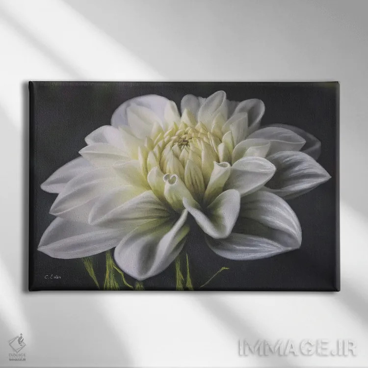 تابلو دا�یای سفید اثر شارلوت ادر - نمای روبهرو روی دیوار