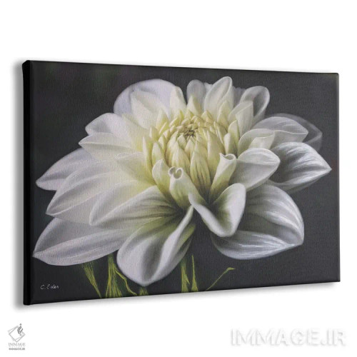 تابلو دا�یای سفید اثر شارلوت ادر - نمای پرسپکتیو محصول