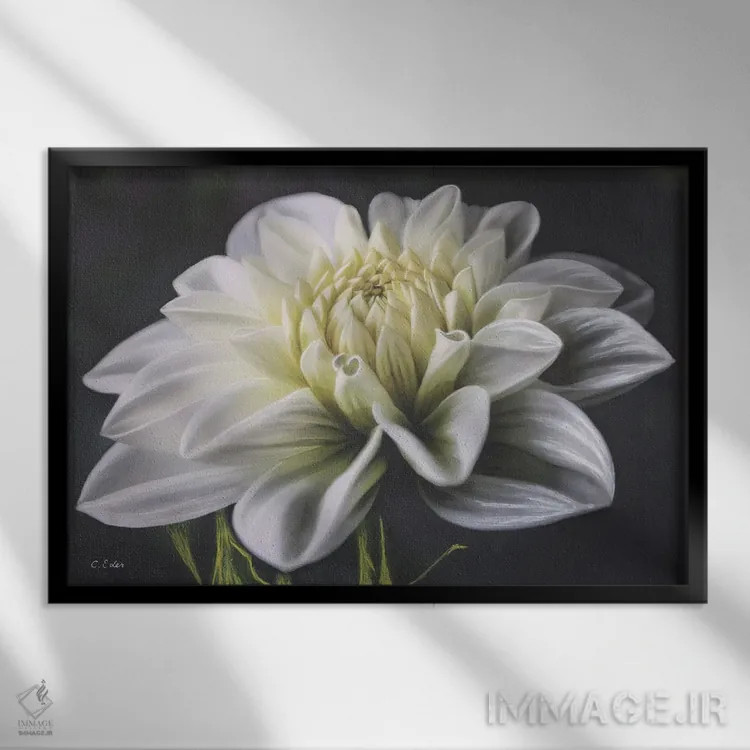 تابلو دا�یای سفید اثر شارلوت ادر - نمای قابدار مشکی