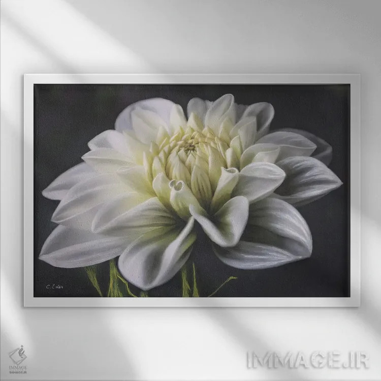 تابلو دا�یای سفید اثر شارلوت ادر - نمای قابدار سفید