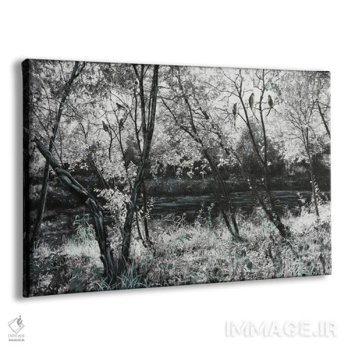 تابلو ایمان به پرندگان اثر شارلوت ادر - نمای پرسپکتیو محصول