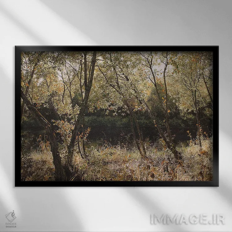 تابلو برگهای نیرو اثر شارلوت ادر - نمای قابدار مشکی