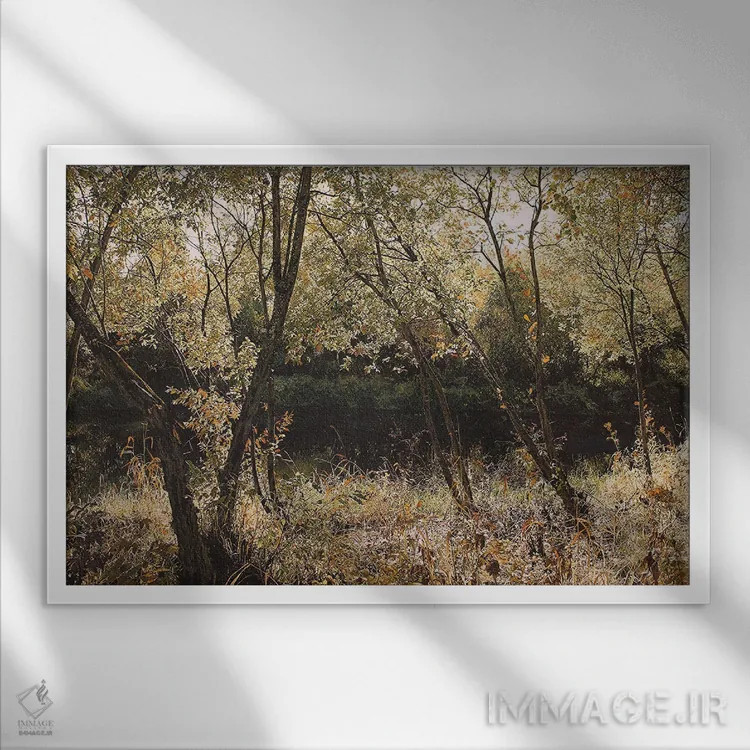 تابلو برگهای نیرو اثر شارلوت ادر - نمای قابدار سفید