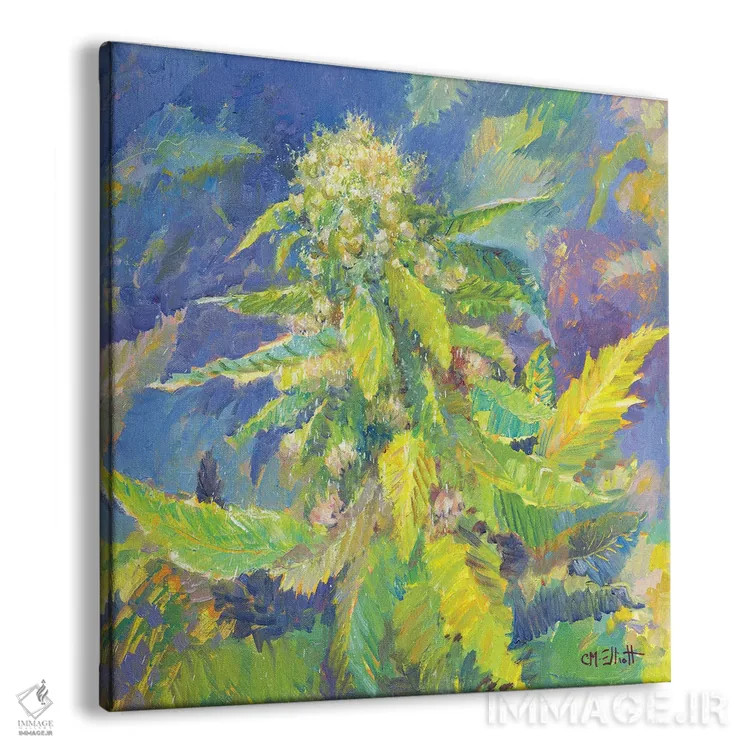 تابلو سرفه توتفرنگی (گونهٔ شاهدانه) اثر کترین ام الیوت - نمای پرسپکتیو محصول