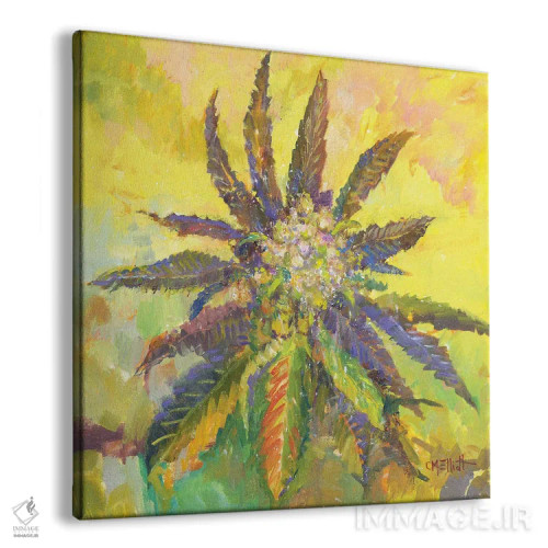 تابلو ویلی وید (گونه گیاه یا نام خاص) اثر کترین ام الیوت - نمای پرسپکتیو محصول