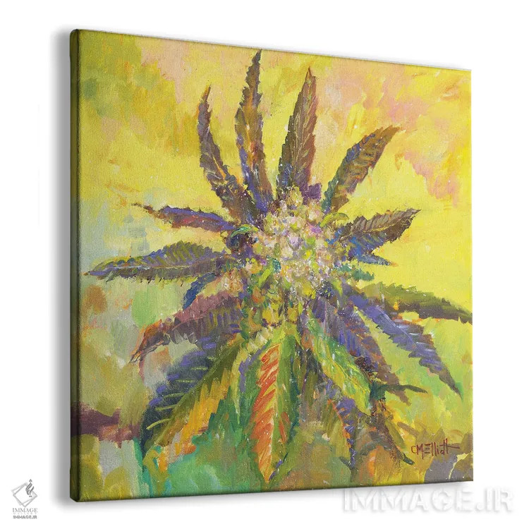 تابلو ویلی وید (گونه گیاه یا نام خاص) اثر کترین ام الیوت - نمای پرسپکتیو محصول