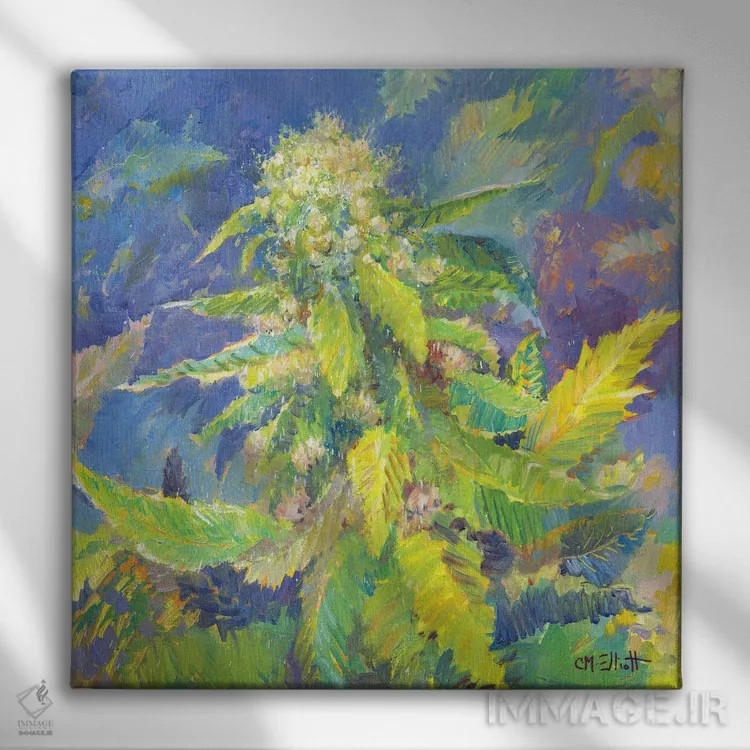 تابلو سرفه توتفرنگی (گونهٔ شاهدانه) اثر کترین ام الیوت - نمای روبهرو روی دیوار