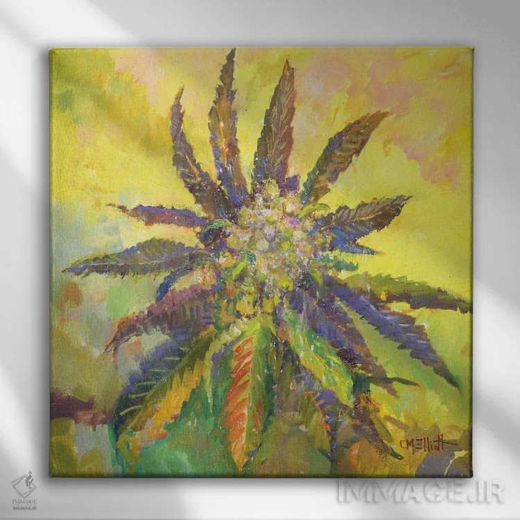 تابلو ویلی وید (گونه گیاه یا نام خاص) اثر کترین ام الیوت - نمای روبهرو روی دیوار