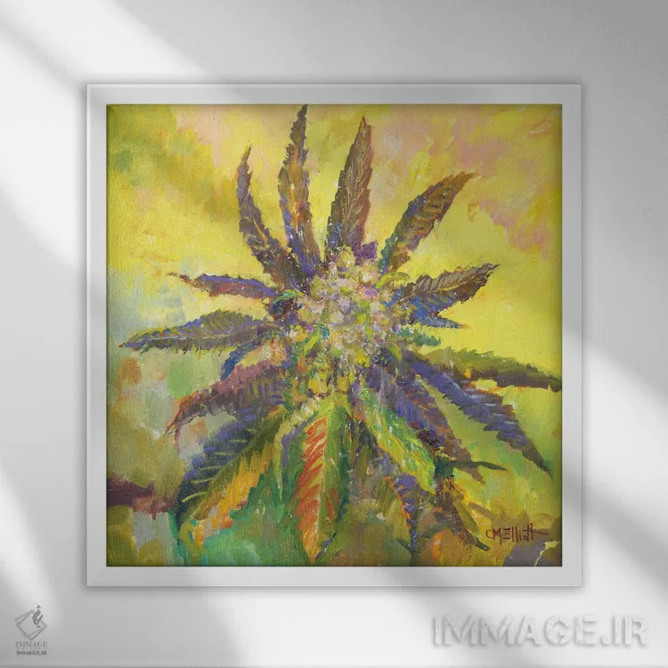 تابلو ویلی وید (گونه گیاه یا نام خاص) اثر کترین ام الیوت - نمای قابدار سفید