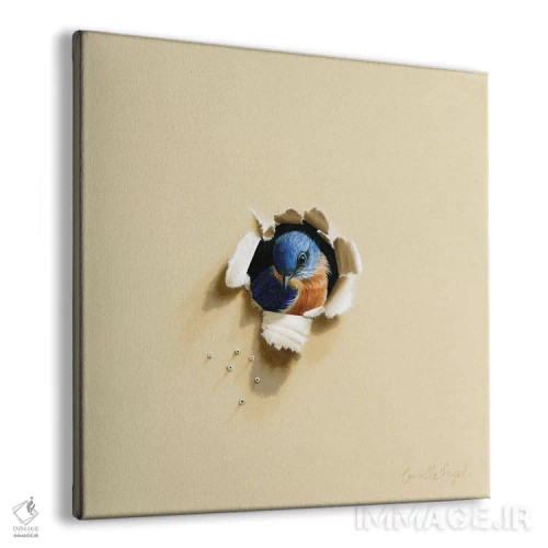 تابلو خجالتی از دوربین اثر کامی یِل انگل - نمای پرسپکتیو محصول