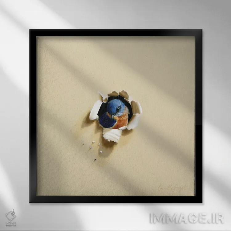 تابلو خجالتی از دوربین اثر کامی یِل انگل - نمای قابدار مشکی