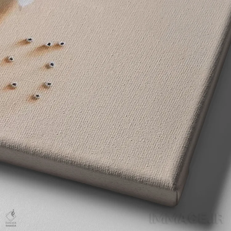 تابلو داری به من نگاه میکنی؟ اثر کامی یِل انگل - نمای نزدیک بافت بوم