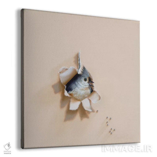 تابلو غریبهٔ پرپشت اثر کامی یِل انگل - نمای پرسپکتیو محصول