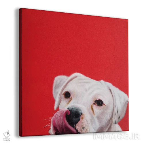 تابلو خوشامدگویی خیس اثر کامی یِل انگل - نمای پرسپکتیو محصول