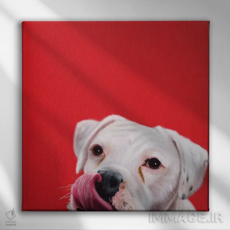 تابلو خوشامدگویی خیس اثر کامی یِل انگل - نمای روبهرو روی دیوار