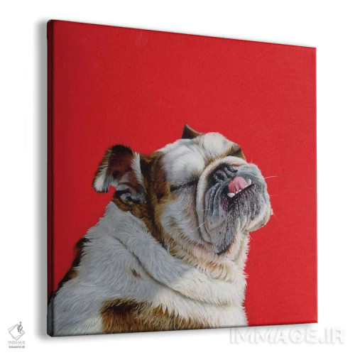 تابلو کی دختر خوبه؟ اثر کامی یِل انگل - نمای پرسپکتیو محصول