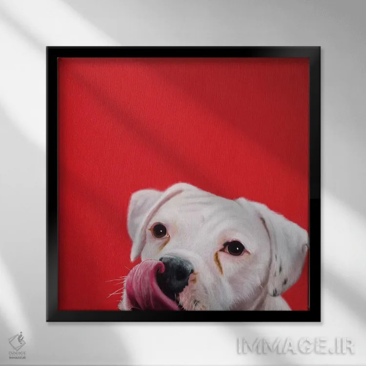 تابلو خوشامدگویی خیس اثر کامی یِل انگل - نمای قابدار مشکی