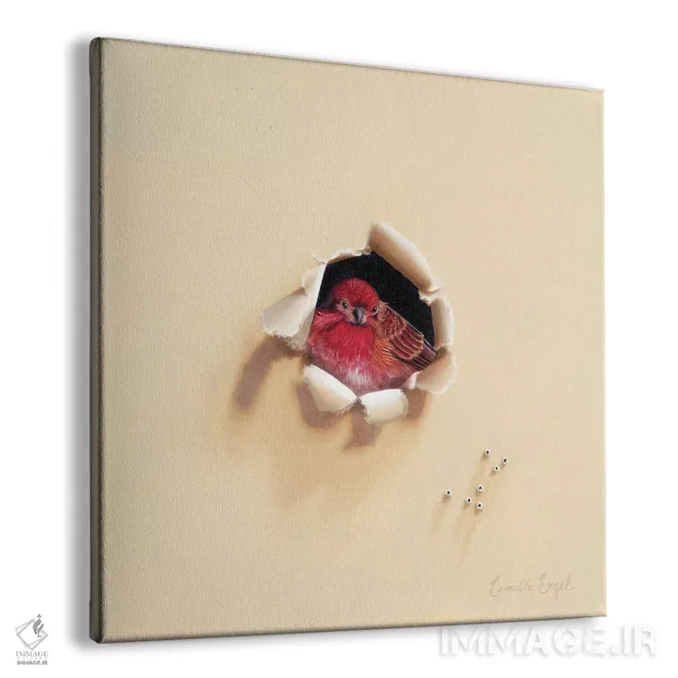 تابلو پرندهٔ قرمزپوش اثر کامی یِل انگل - نمای پرسپکتیو محصول