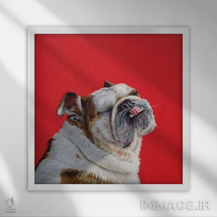 تابلو کی دختر خوبه؟ اثر کامی یِل انگل - نمای قابدار سفید