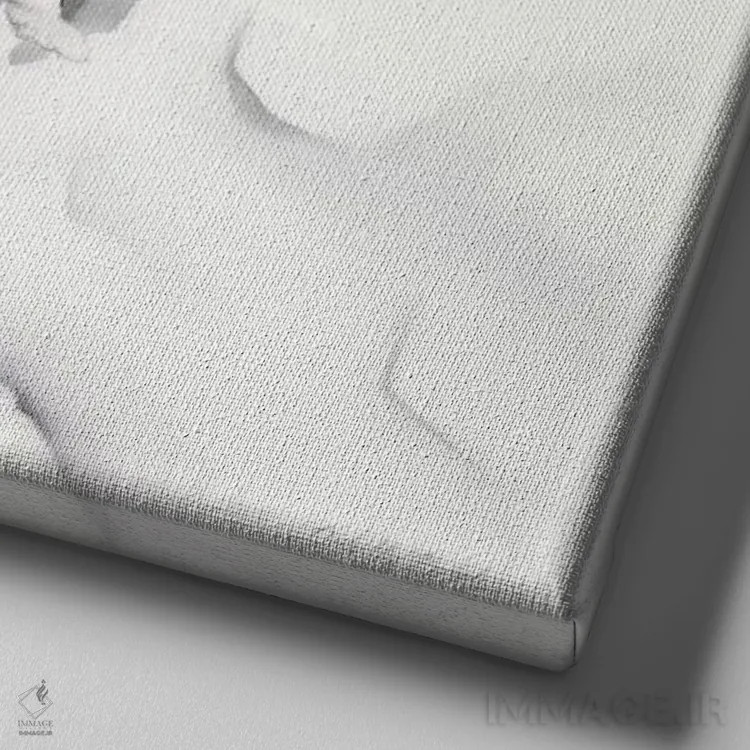 تابلو راکون (پستاندار) اثر کامی یِل انگل - نمای نزدیک بافت بوم