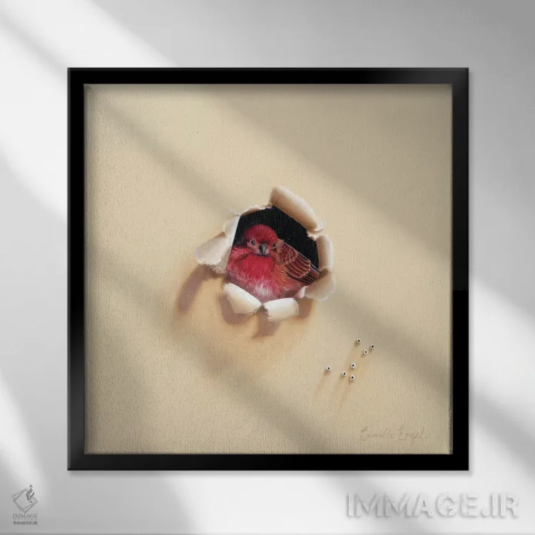 تابلو پرندهٔ قرمزپوش اثر کامی یِل انگل - نمای قابدار مشکی