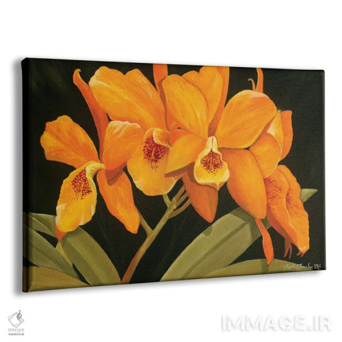 تابلو ارکیدههای نارنجی اثر کرتیس فانک - نمای پرسپکتیو محصول
