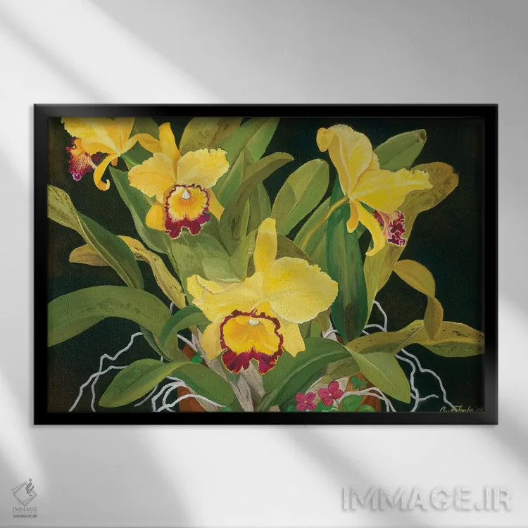 تابلو ارکیدههای مادر اثر کرتیس فانک - نمای قابدار مشکی