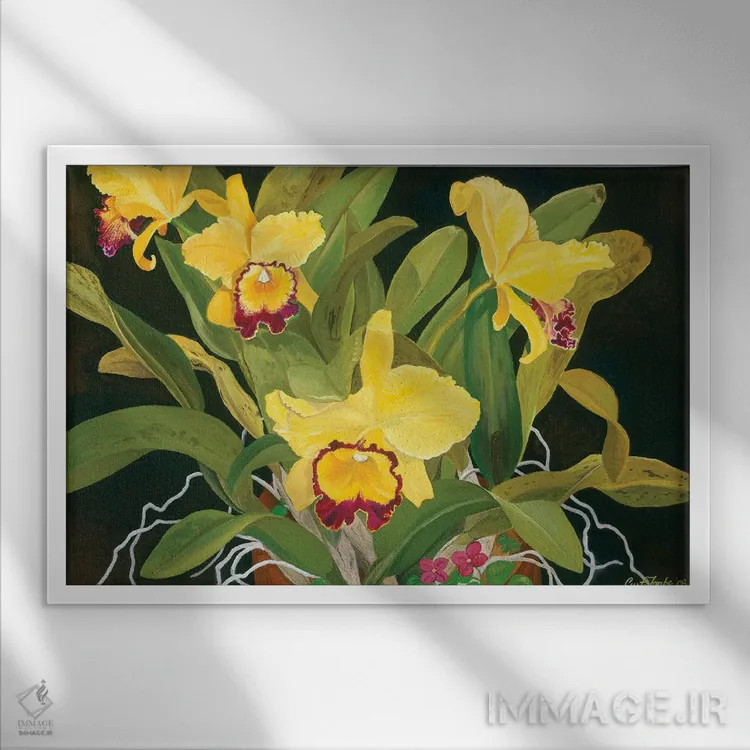 تابلو ارکیدههای مادر اثر کرتیس فانک - نمای قابدار سفید