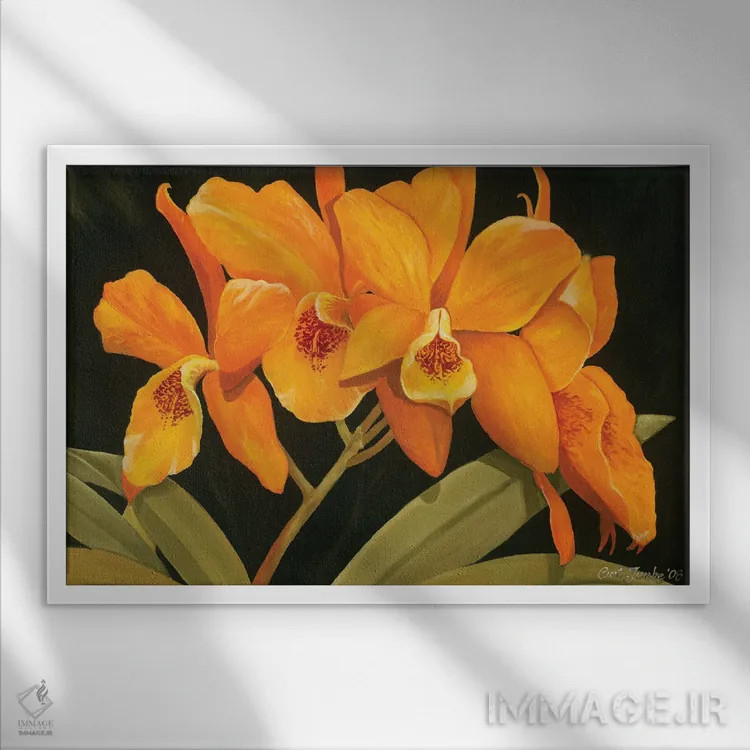 تابلو ارکیدههای نارنجی اثر کرتیس فانک - نمای قابدار سفید