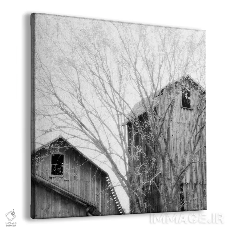 تابلو پنجرههای انبار اثر چیپ فورلی - نمای پرسپکتیو محصول