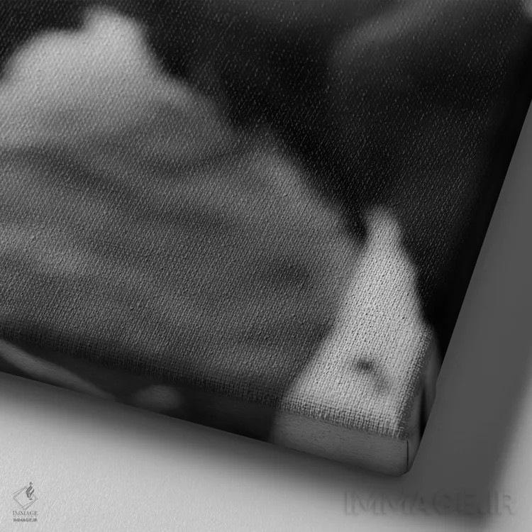 تابلو گاو هلشتاین (نژاد گاو شیری) اثر چیپ فورلی - نمای نزدیک بافت بوم