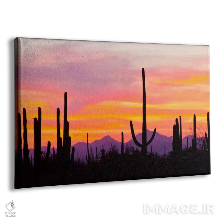 تابلو Saguaro National Park, Sonoran Desert, Arizona, USA,کاکتوس ساگوارو هنگام غروب I، پارک ملی ساگوارو، صحرای سونورا، آریزونا، آمریکا اثر کتی و گوردون ایلگ - نمای پرسپکتیو محصول