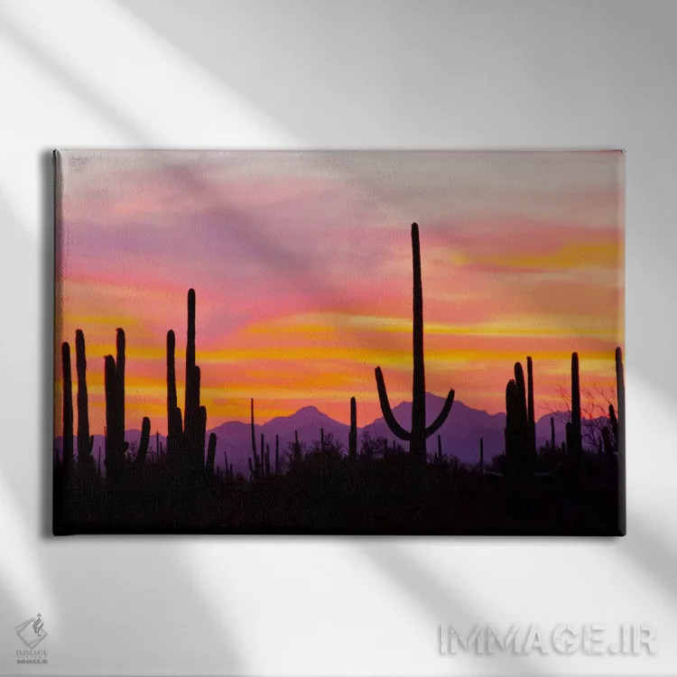 تابلو Saguaro National Park, Sonoran Desert, Arizona, USA,کاکتوس ساگوارو هنگام غروب I، پارک ملی ساگوارو، صحرای سونورا، آریزونا، آمریکا اثر کتی و گوردون ایلگ - نمای روبهرو روی دیوار