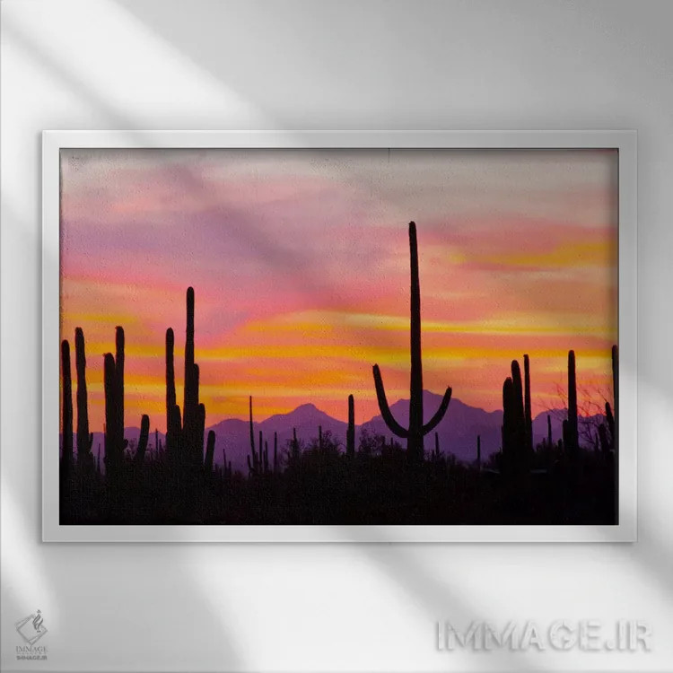 تابلو Saguaro National Park, Sonoran Desert, Arizona, USA,کاکتوس ساگوارو هنگام غروب I، پارک ملی ساگوارو، صحرای سونورا، آریزونا، آمریکا اثر کتی و گوردون ایلگ - نمای قابدار سفید