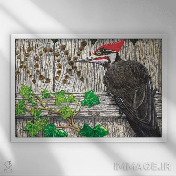 تابلو به من بگو چرا؟ اثر کترین جی مکالروی - نمای قابدار سفید