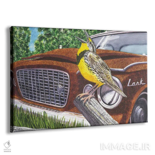 تابلو چکاوکهای علفزار اثر کترین جی مکالروی - نمای پرسپکتیو محصول