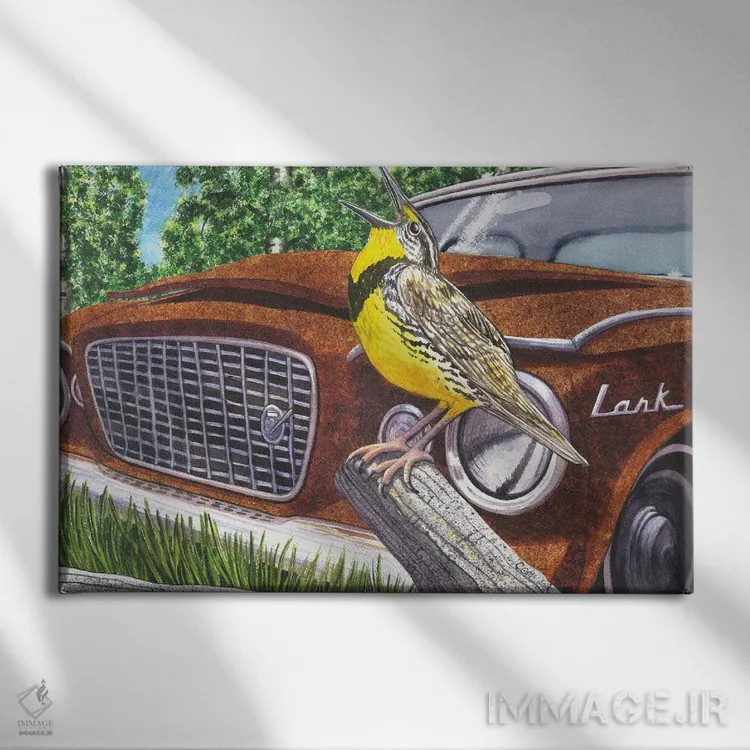 تابلو چکاوکهای علفزار اثر کترین جی مکالروی - نمای روبهرو روی دیوار