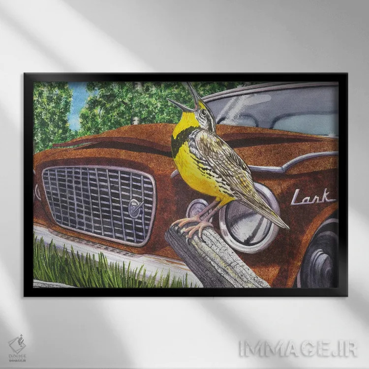 تابلو چکاوکهای علفزار اثر کترین جی مکالروی - نمای قابدار مشکی